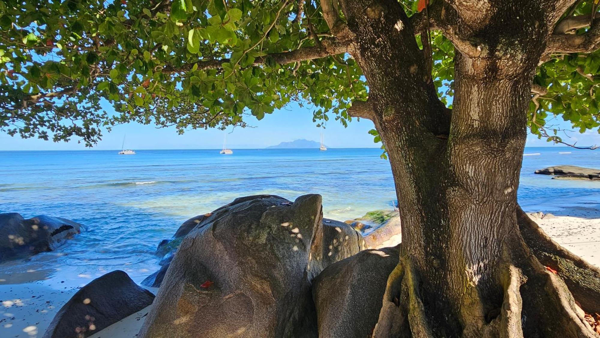 Harmony Self-Catering Apartments Beau Vallon  Exterior foto